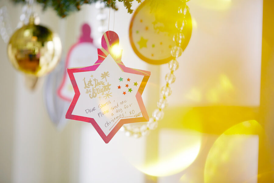 STARBUCKS / BOOTSYORK 1