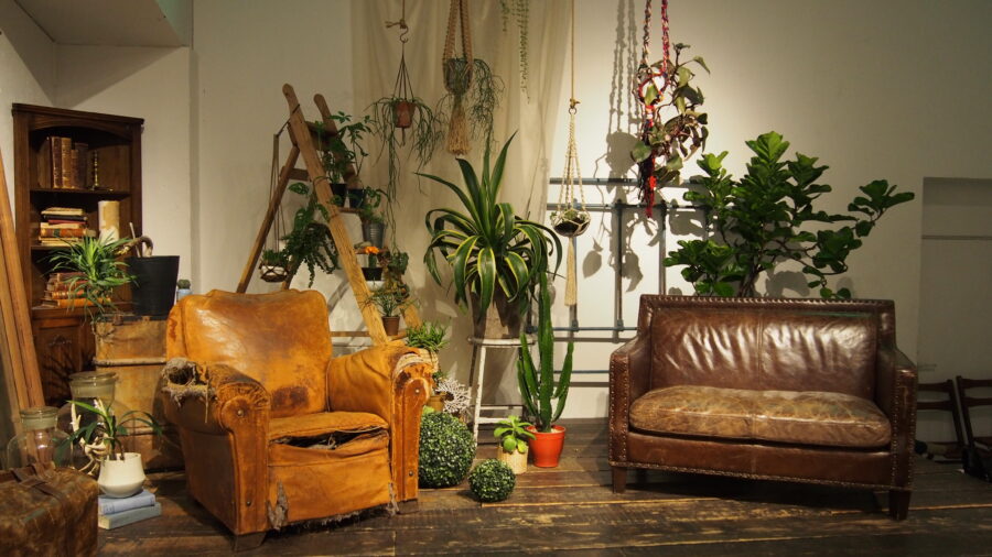 SI-HO SUP / BOOTSYORK 2