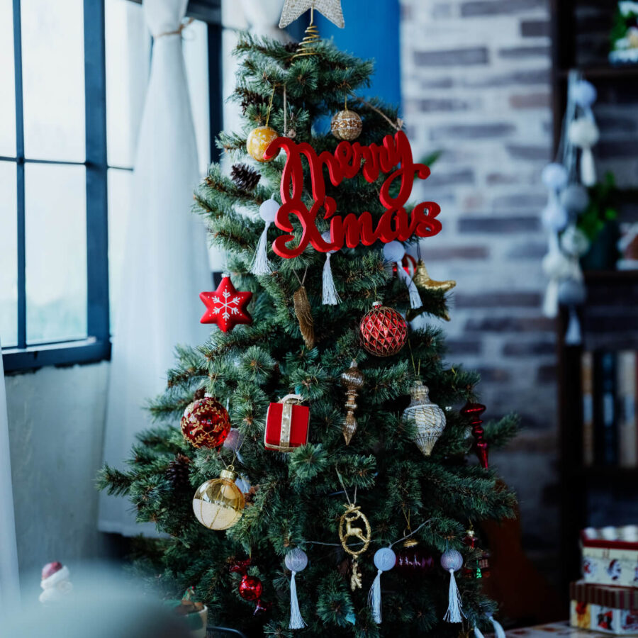 niko and … / BOOTS YORK 