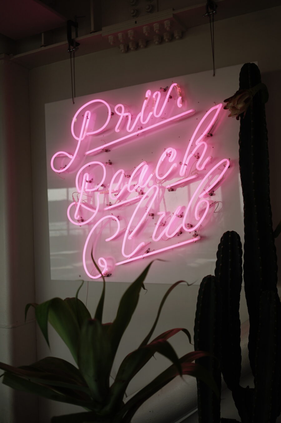 Priv. Beach Club / BOOTSYORK 10