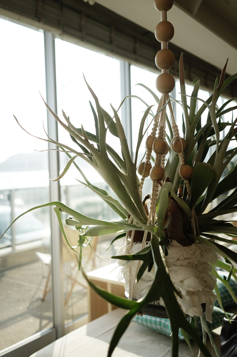 Priv. Beach Club / BOOTSYORK 11