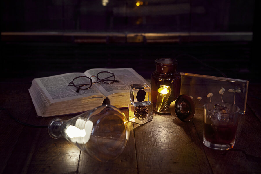 Free & Easy / BOOTSYORK 2