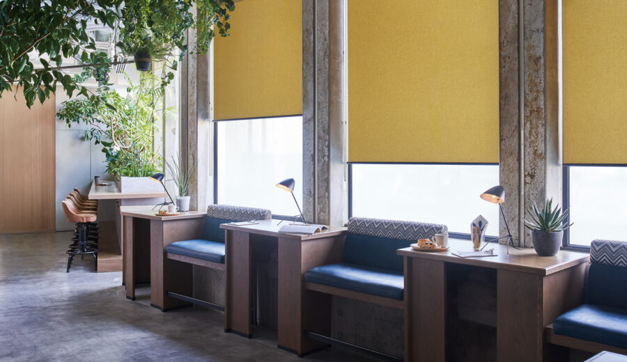 Nichibei / BOOTSYORK 23