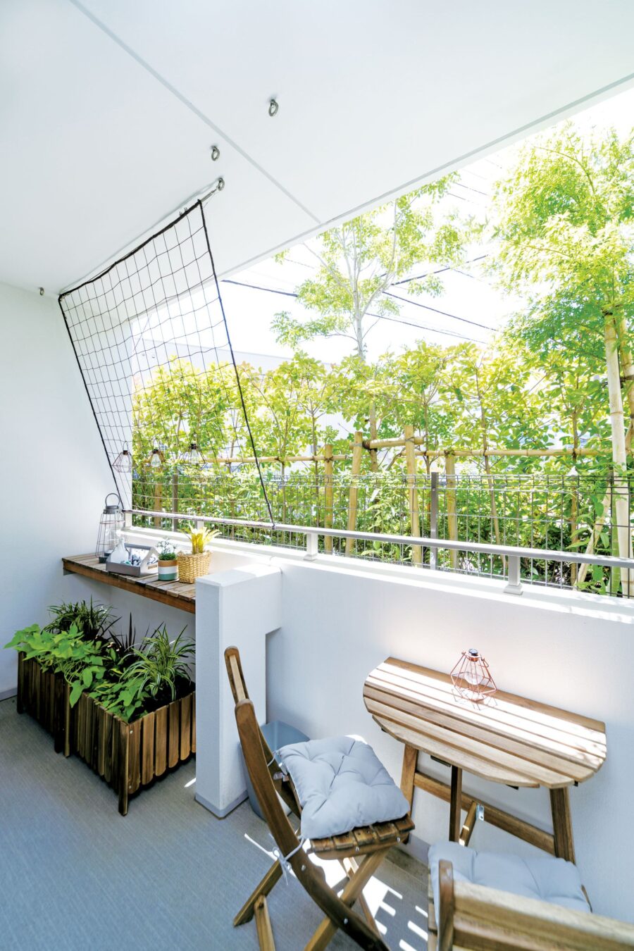 livlan / BOOTSYORK 4