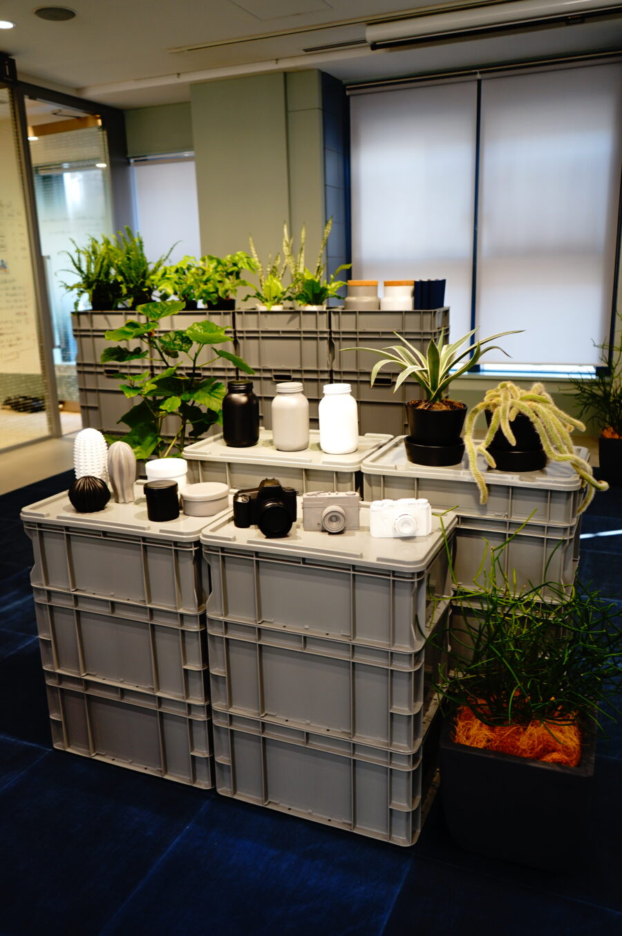 TAJIMA / BOOTSYORK 5