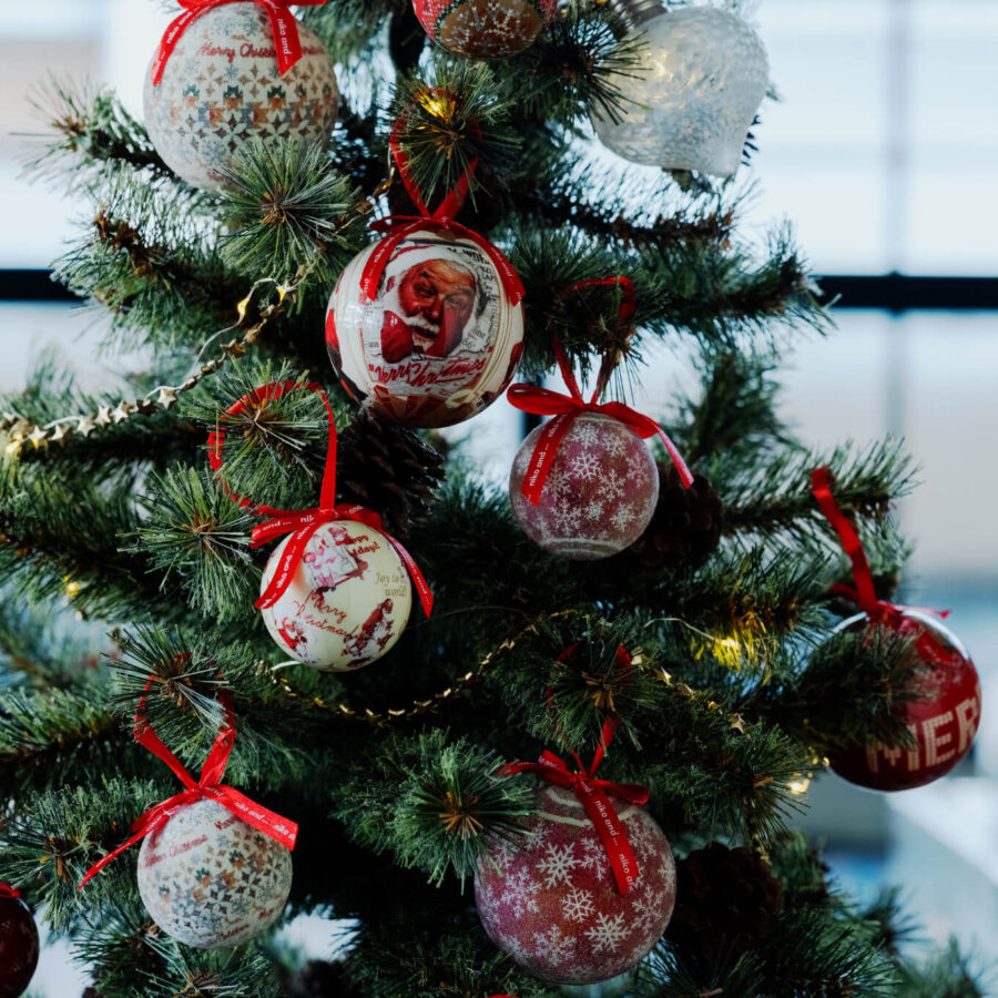 niko and … / BOOTSYORK 5