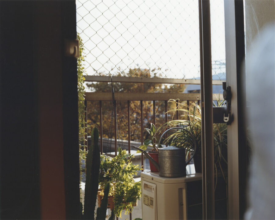 THE DAY / BOOTSYORK 6