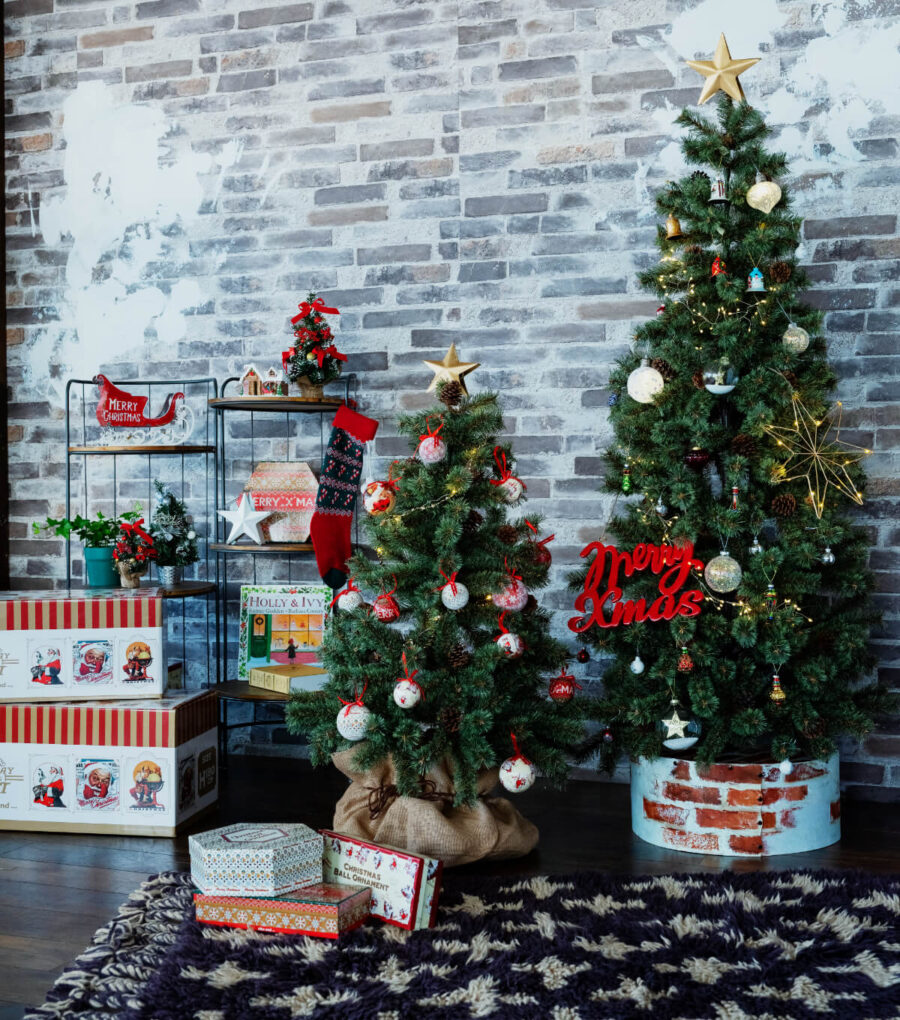 niko and … / BOOTSYORK 8