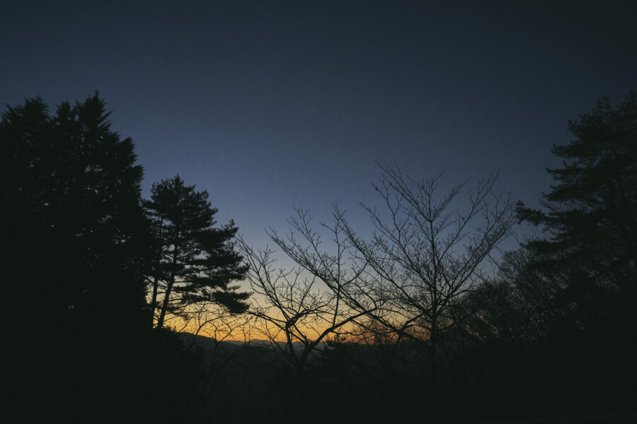 BasShu / BOOTSYORK 8