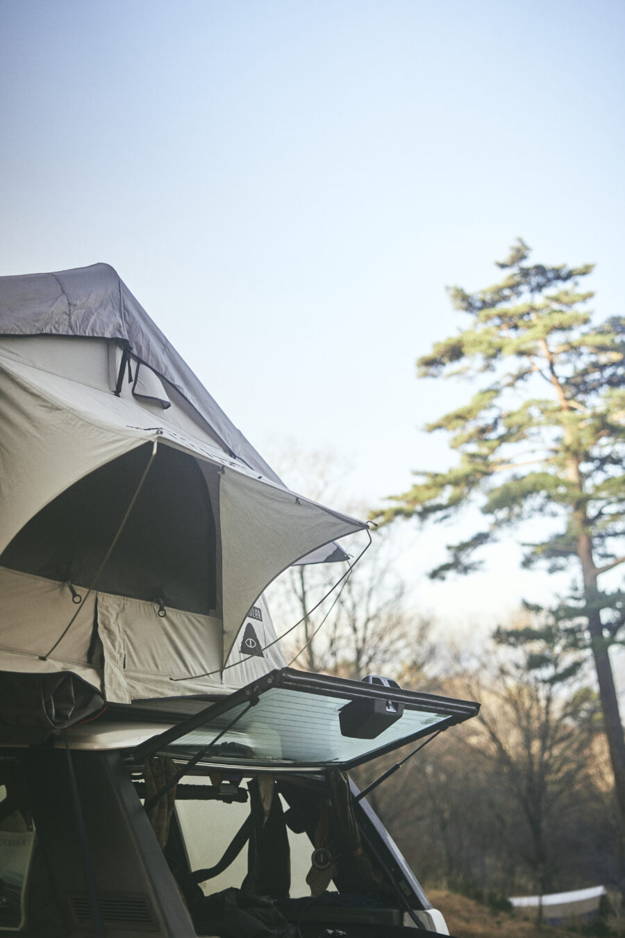 BasShu / BOOTSYORK 12