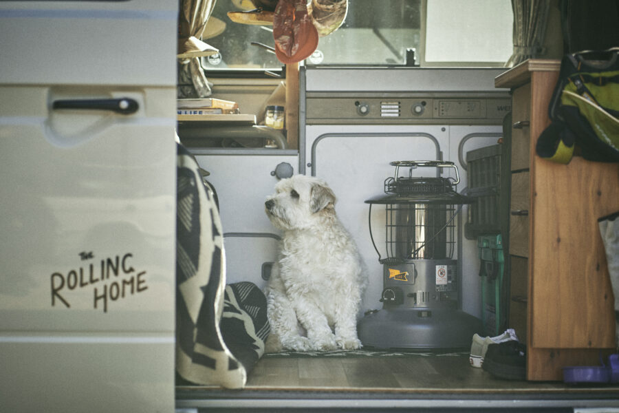 BasShu / BOOTSYORK 4