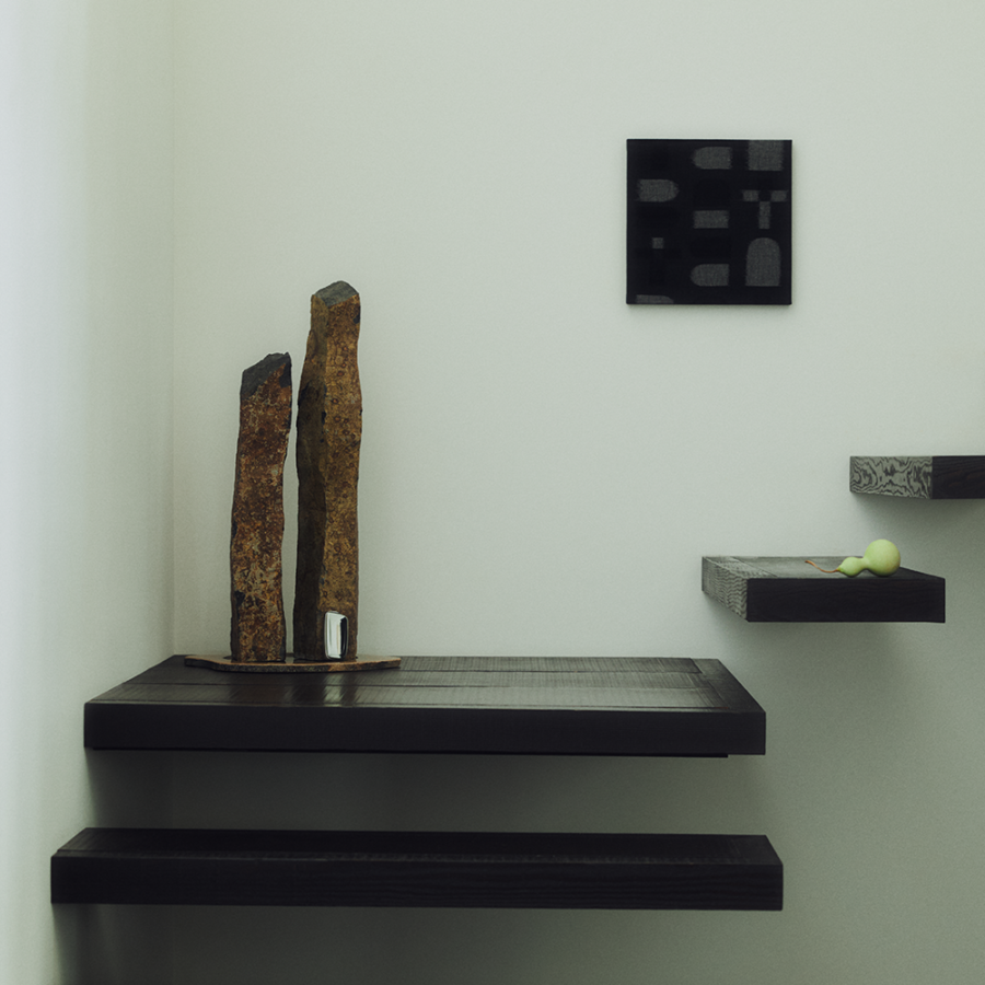 JT Ploom X / BOOTSYORK 4