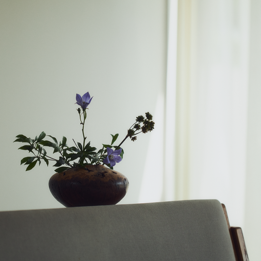 JT Ploom X / BOOTSYORK 3