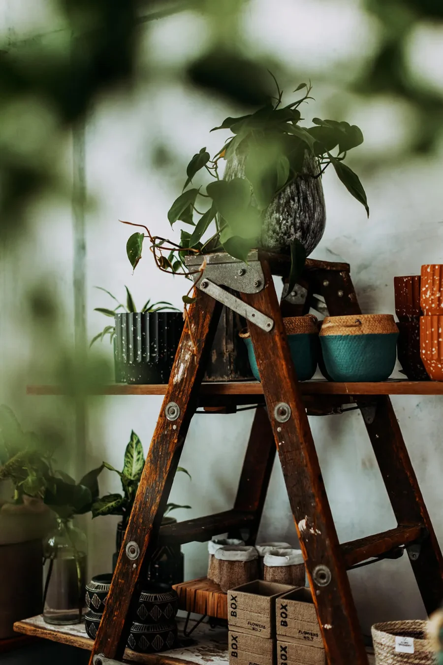 niko and … / BOOTSYORK 3