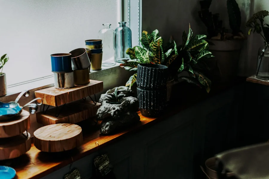 niko and … / BOOTSYORK 4