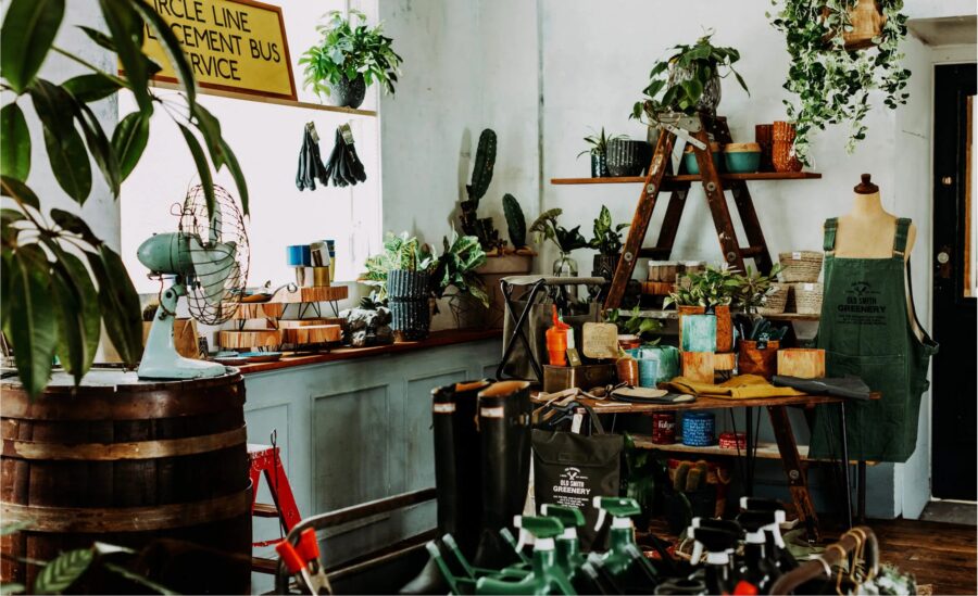 niko and … / BOOTSYORK 2