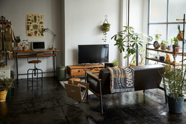 niko and… / BOOTSYORK 2